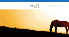 Desktop Screenshot of metalsystems.eu